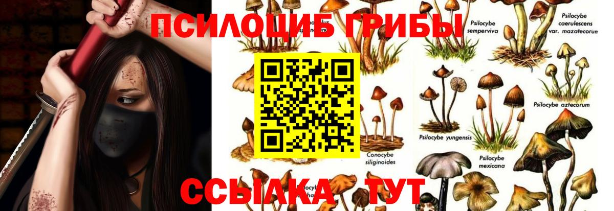Галлюциногенные грибы MAGIC MUSHROOMS  Вход с VPN  Петропавловск-Камчатский 